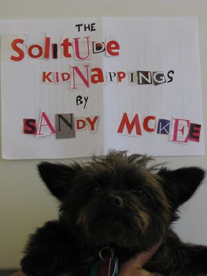 cover image of The Solitude Kidnappings